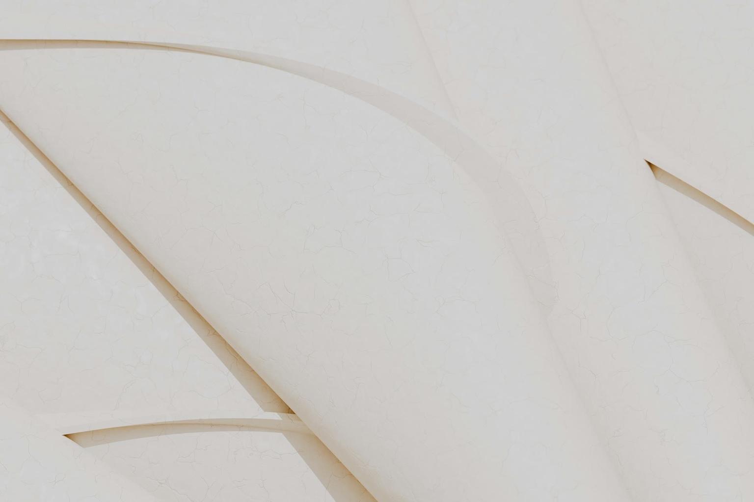 Abstract white and gray image, natural earth tones and shapes