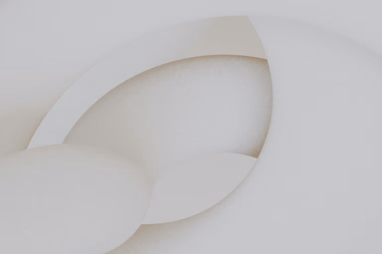 Abstract white and gray image, natural earth tones and shapes