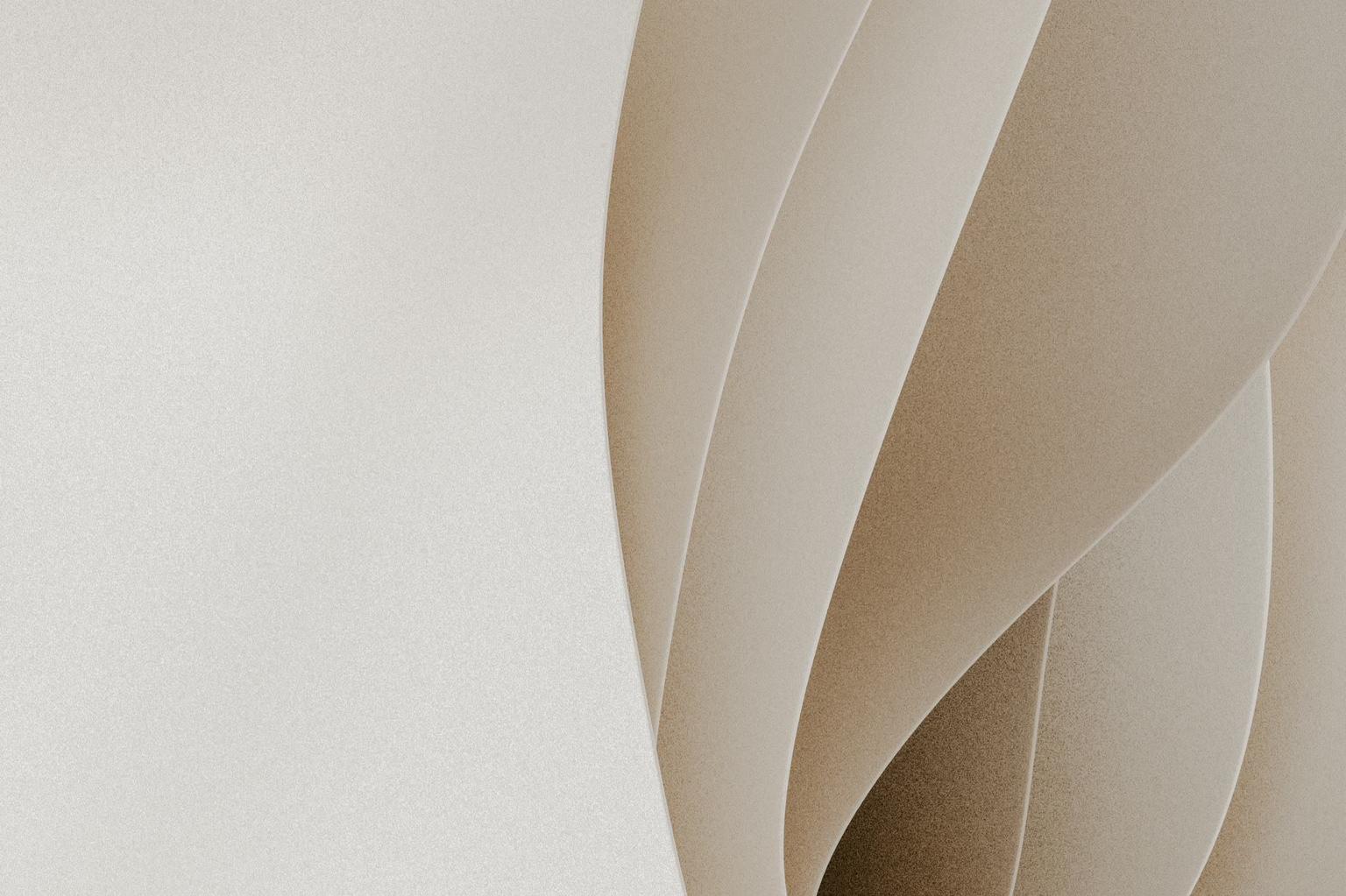 Abstract white and gray image, natural earth tones and shapes
