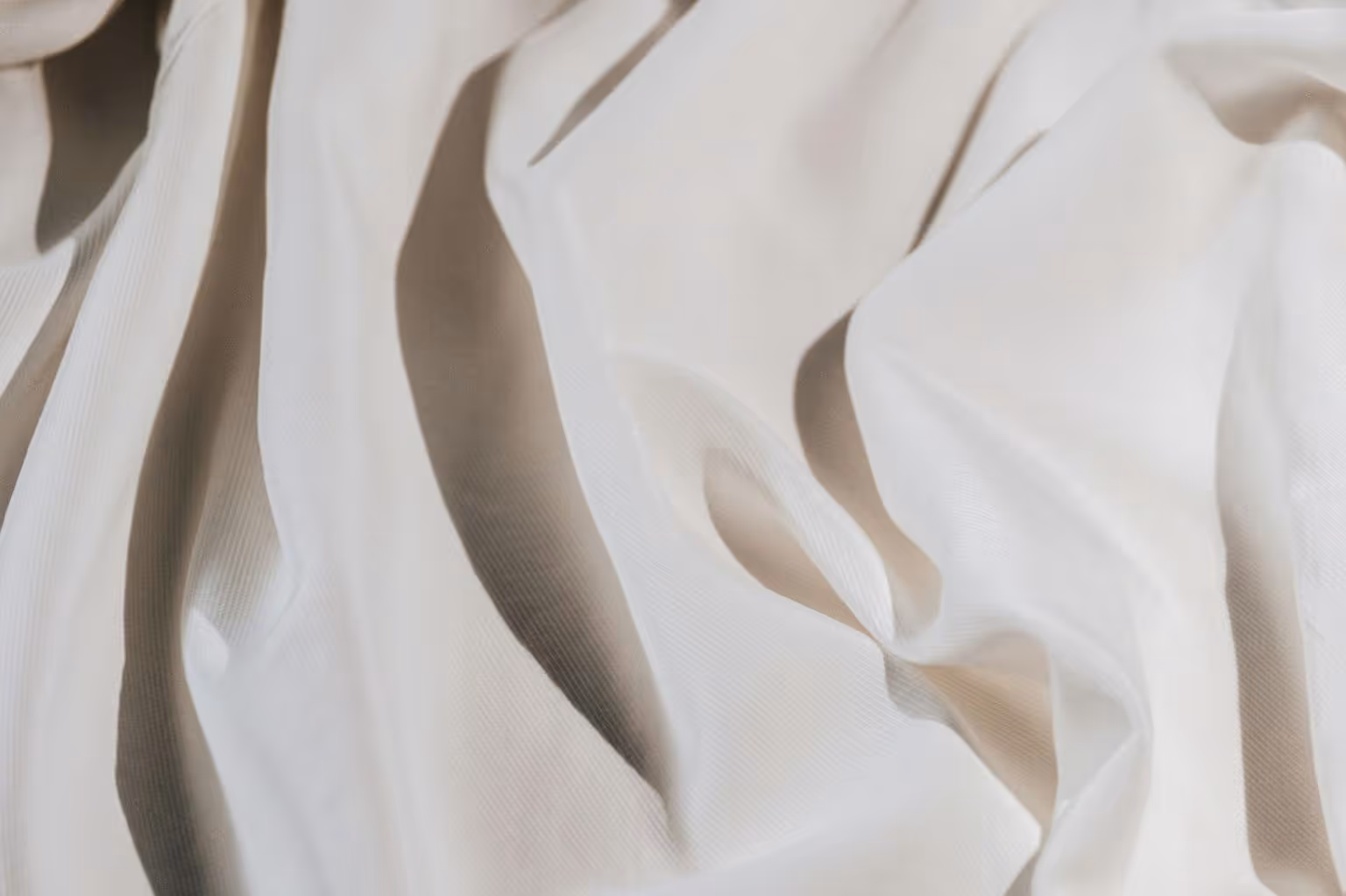 Abstract white and gray image, natural earth tones and shapes