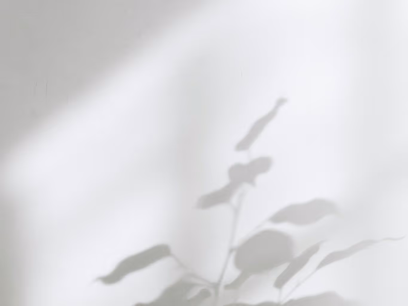 Abstract white and gray image, natural earth tones and shapes