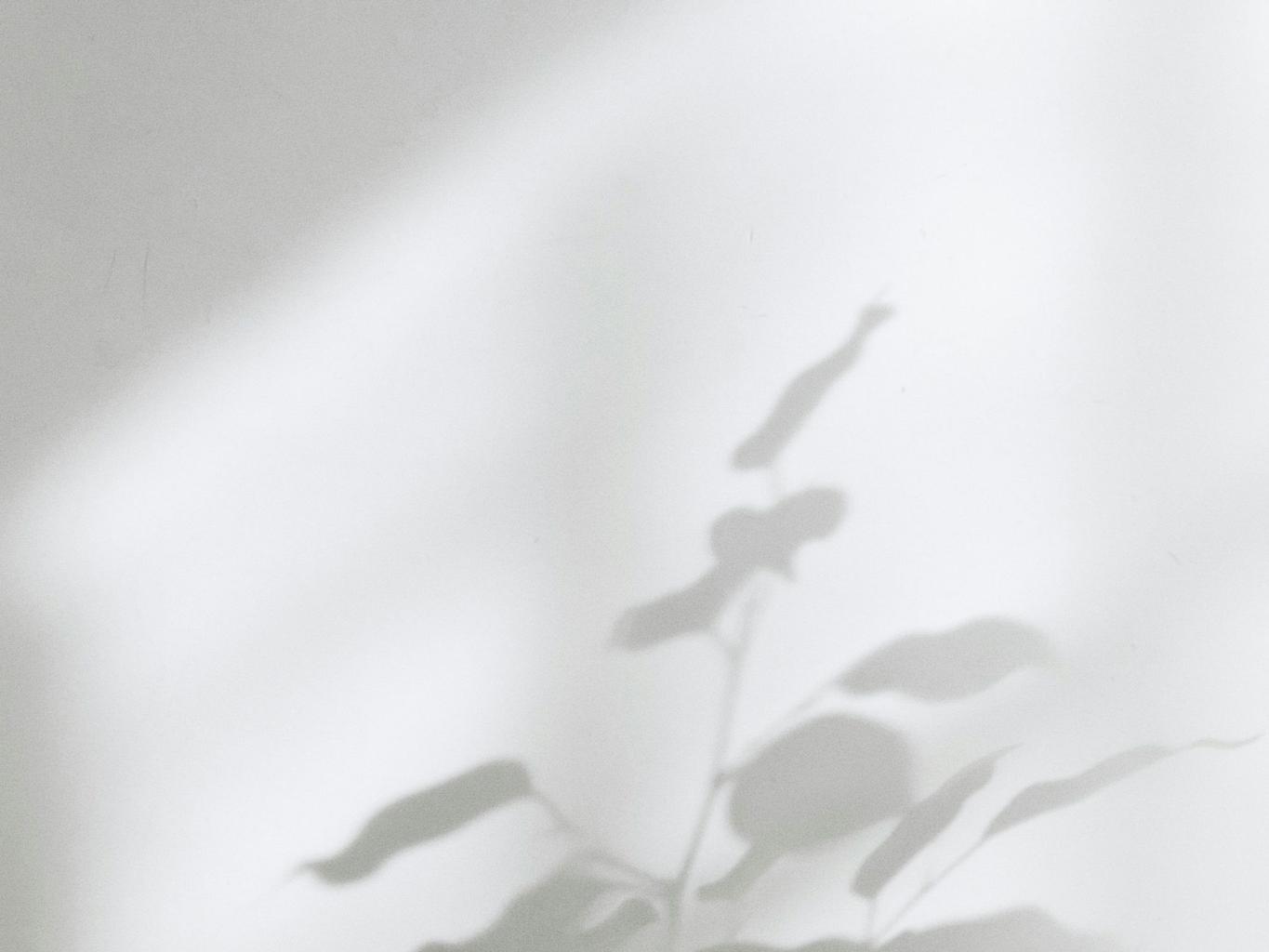 Abstract white and gray image, natural earth tones and shapes