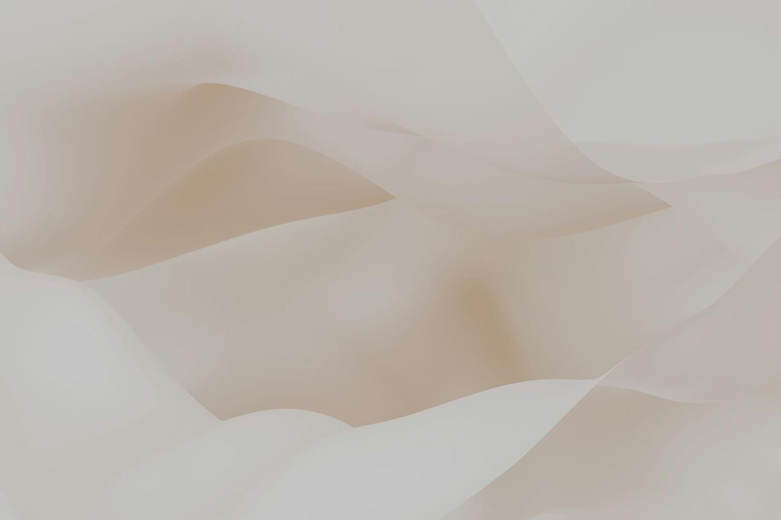 Abstract white and gray image, natural earth tones and shapes