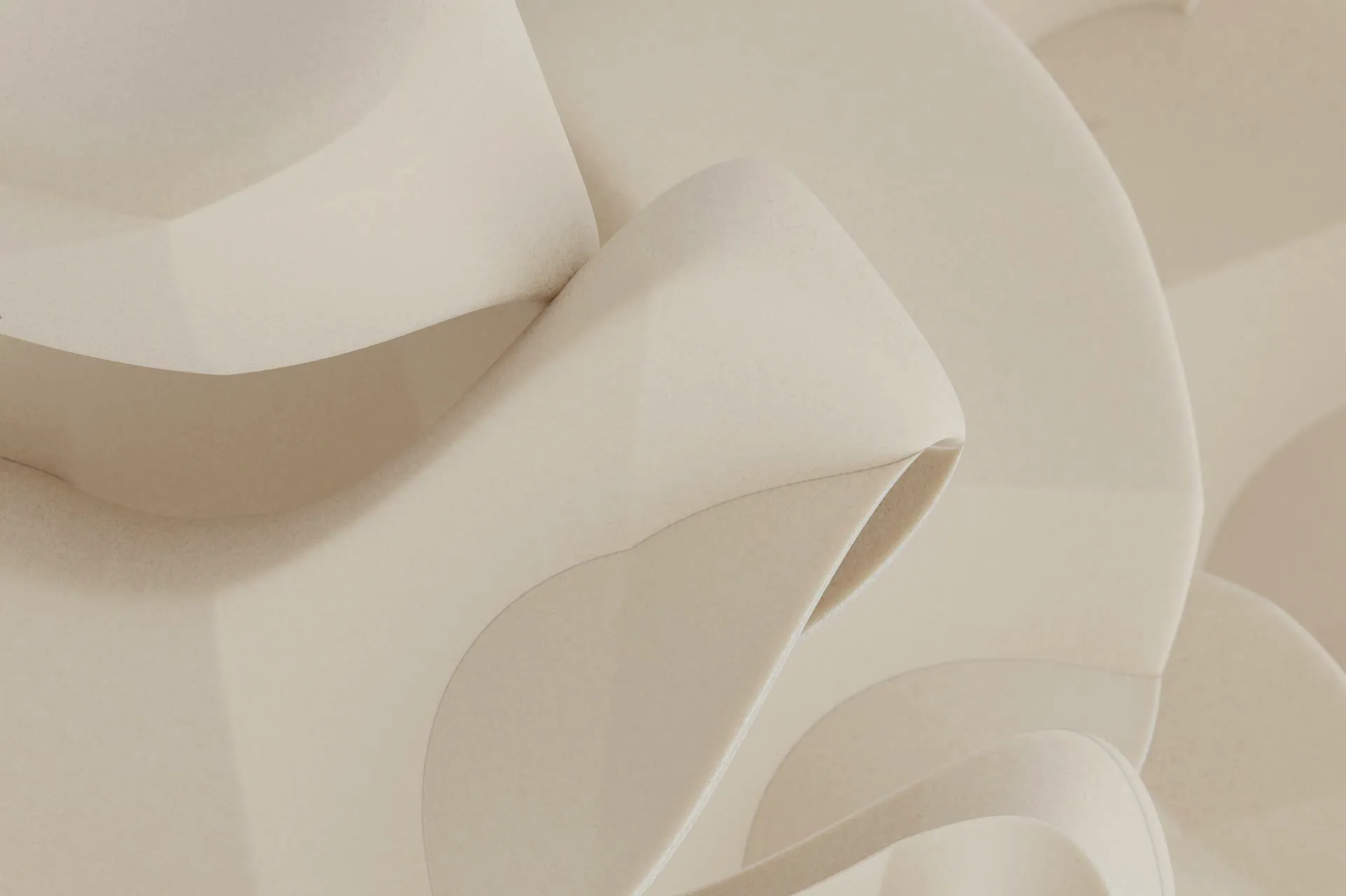 Abstract white and gray image, natural earth tones and shapes