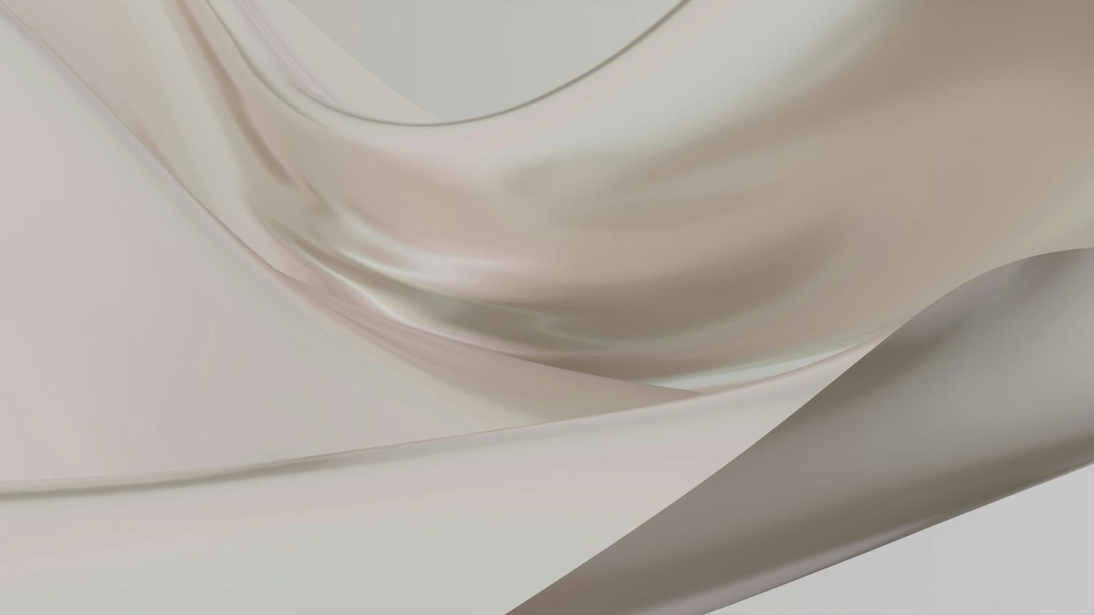 Abstract white and gray image, natural earth tones and shapes