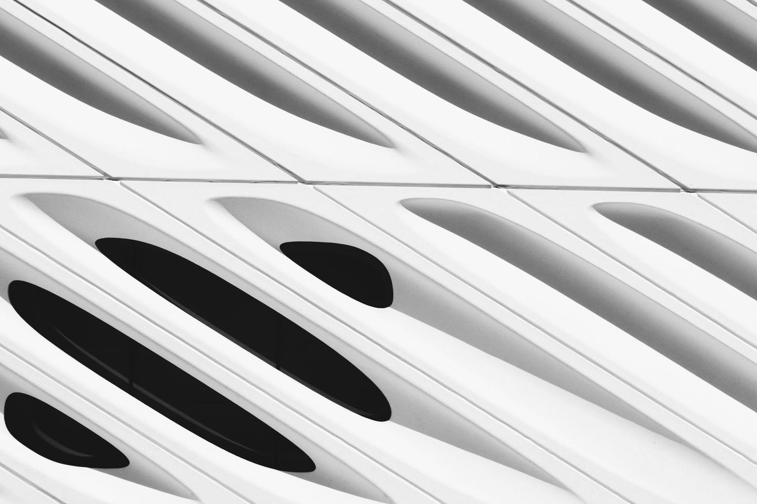 Abstract white and gray image, natural earth tones and shapes