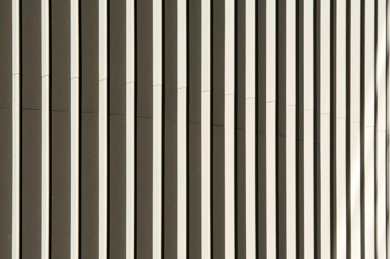 Abstract white and gray image, natural earth tones and shapes