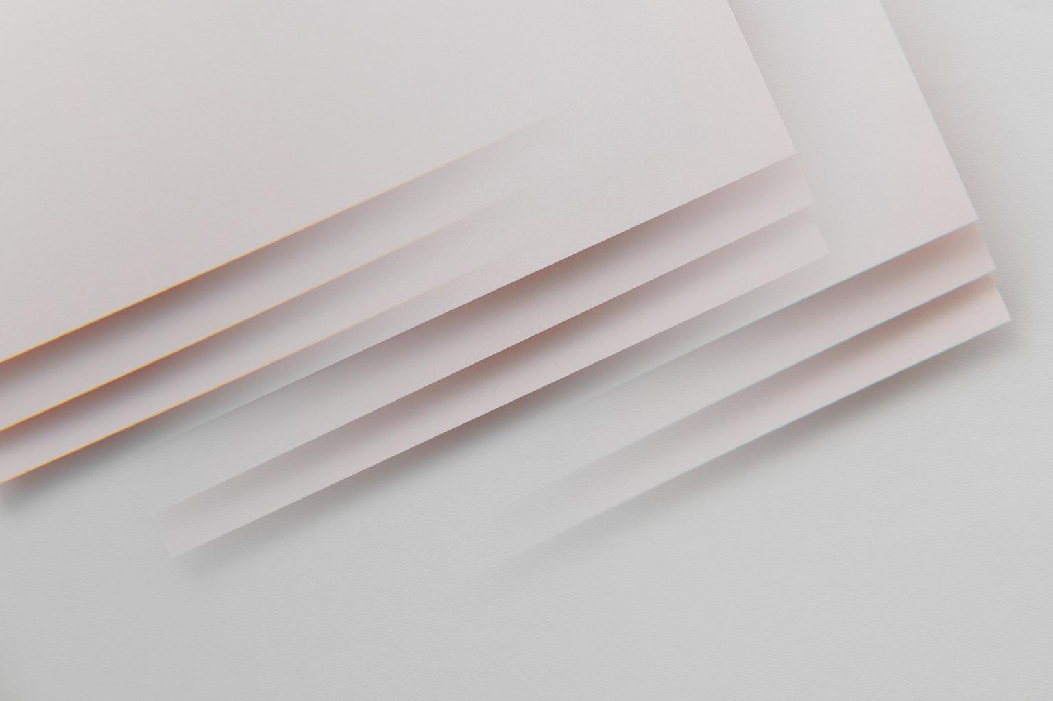 Abstract white and gray image, natural earth tones and shapes