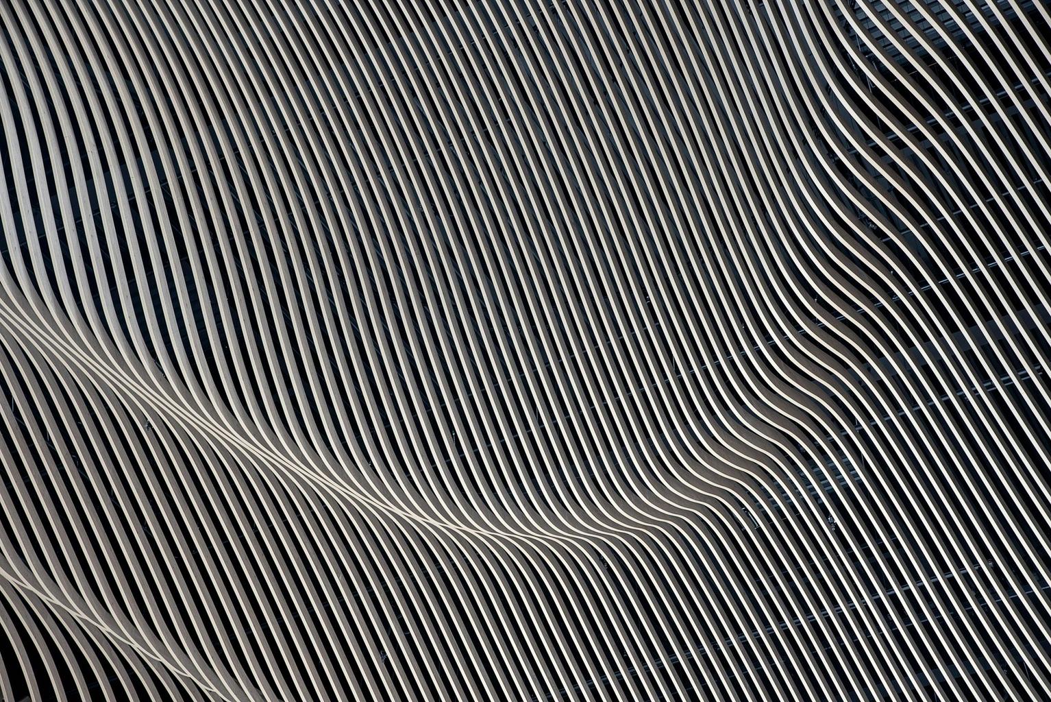 Abstract white and gray image, natural earth tones and shapes