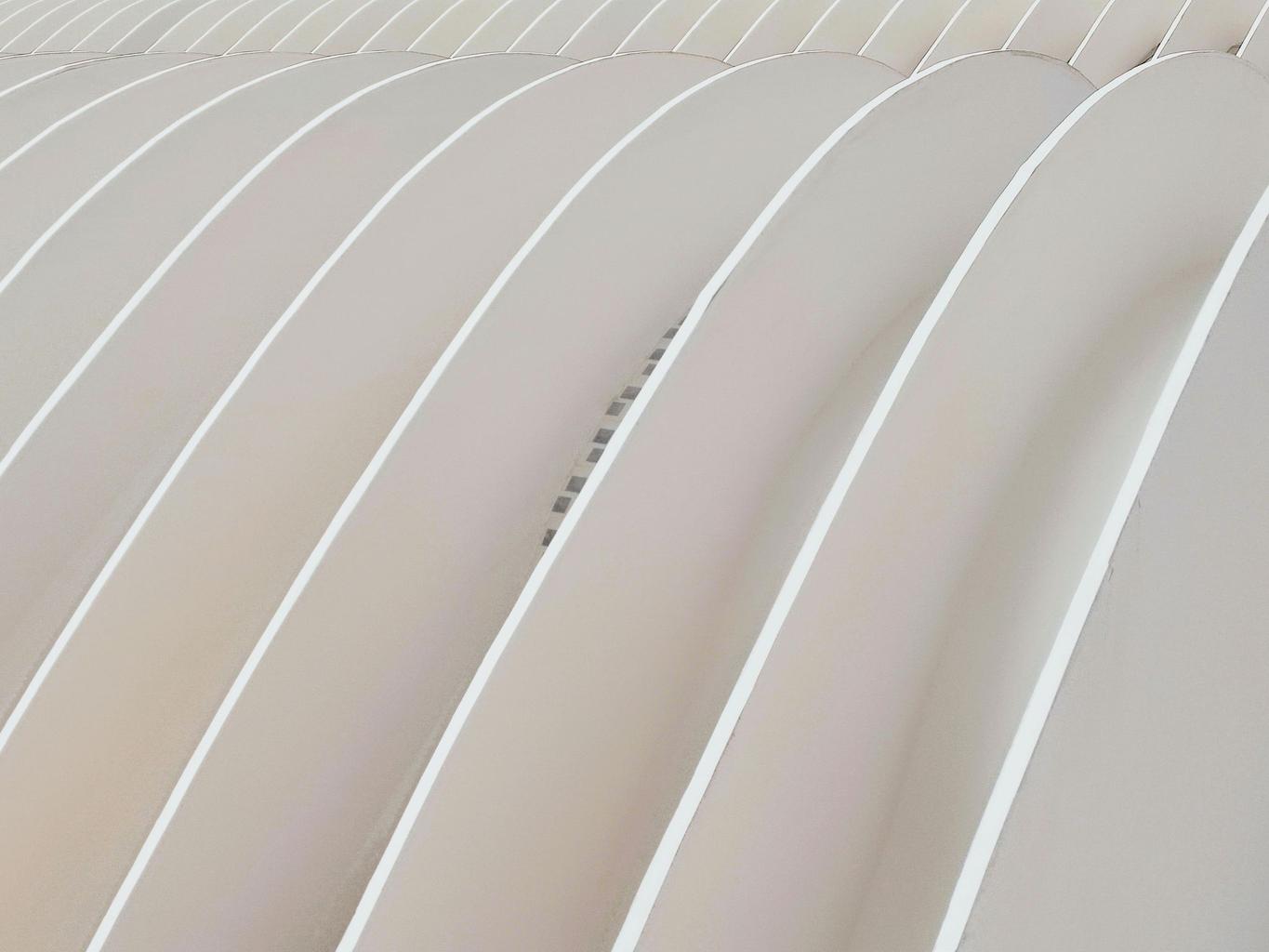 Abstract white and gray image, natural earth tones and shapes