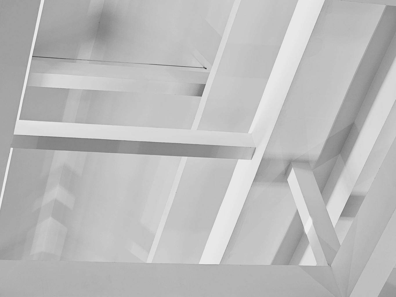 Abstract white and gray image, natural earth tones and shapes