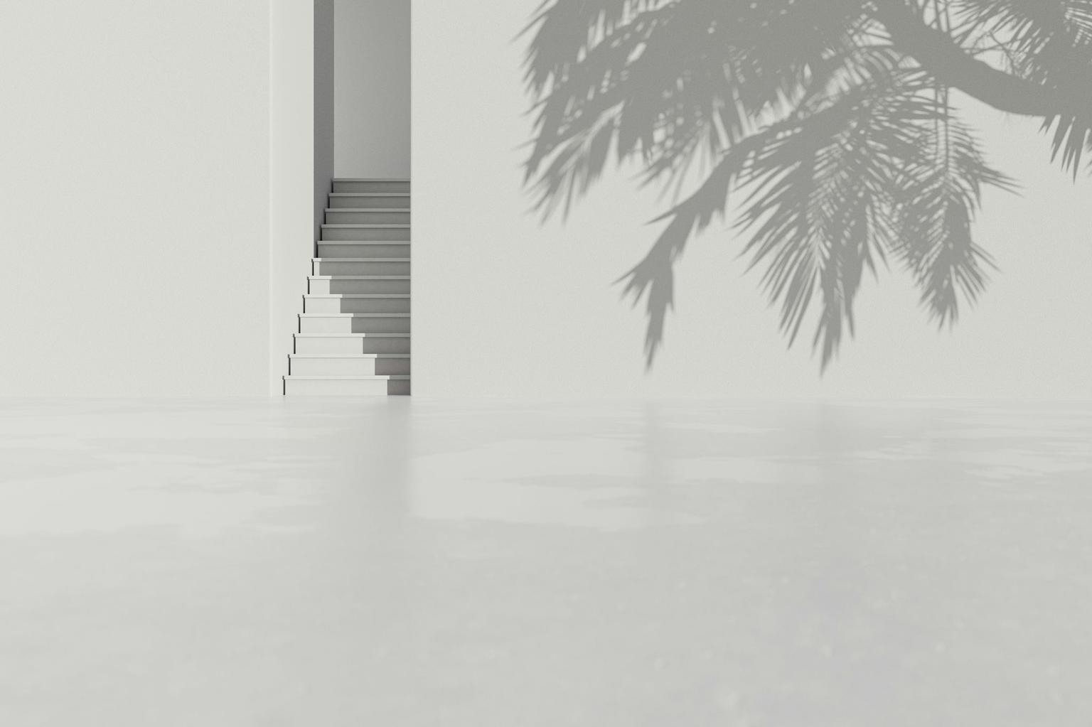 Abstract white and gray image, natural earth tones and shapes