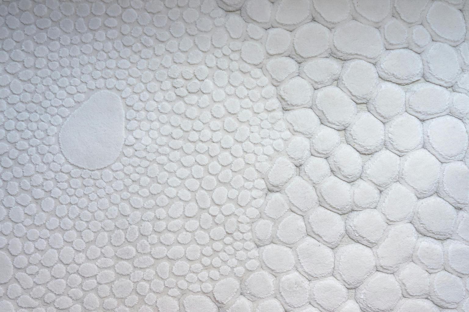 Abstract white and gray image, natural earth tones and shapes