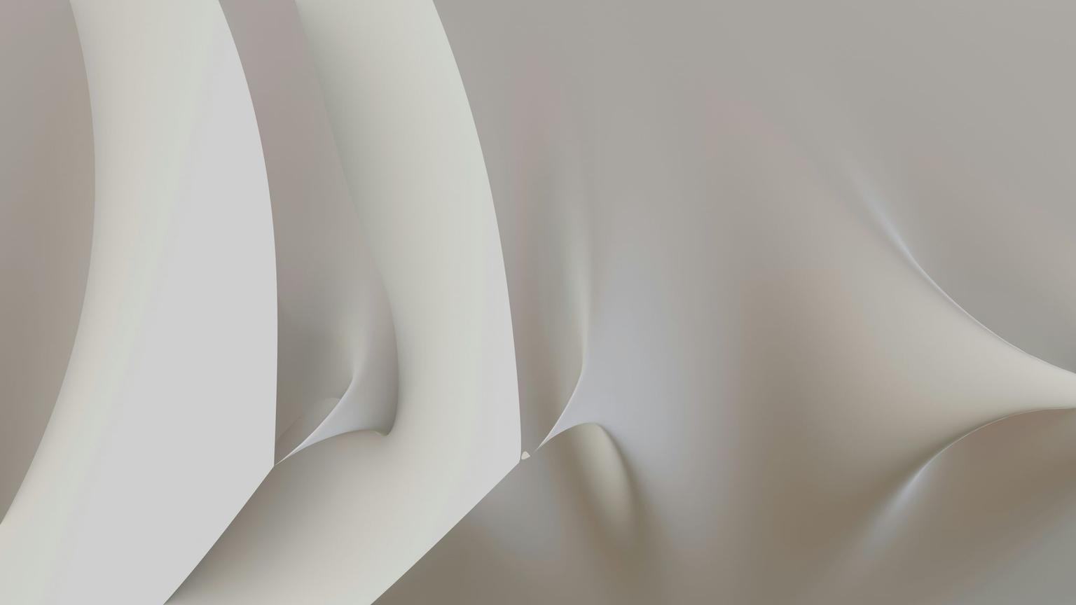 Abstract white and gray image, natural earth tones and shapes