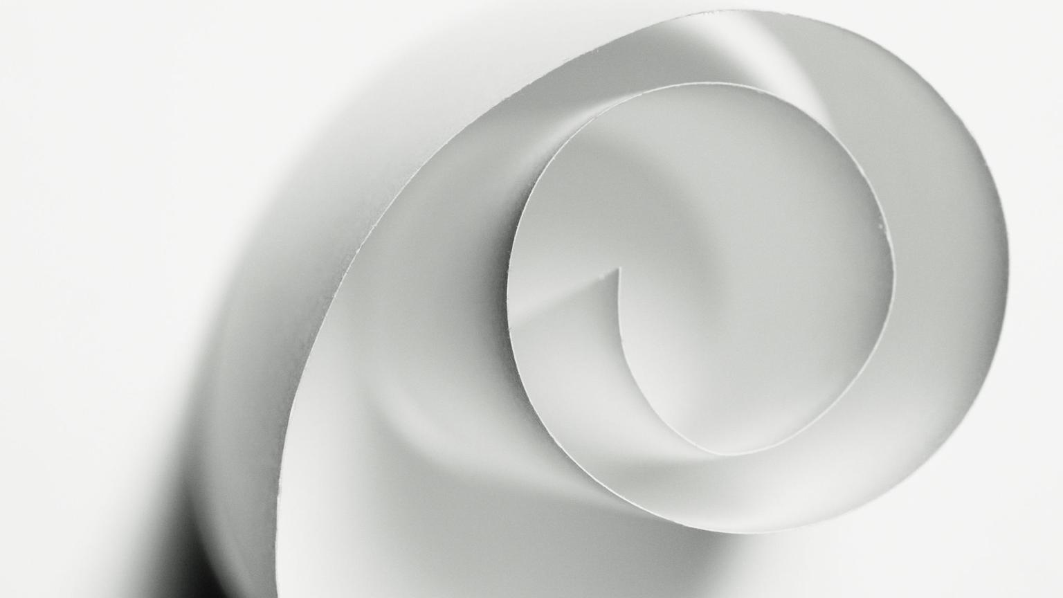 Abstract white and gray image, natural earth tones and shapes