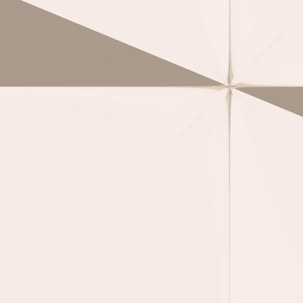 Abstract white and gray image, natural earth tones and shapes