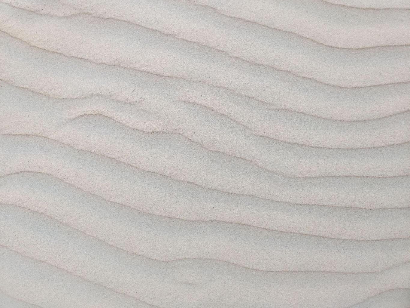 Abstract white and gray image, natural earth tones and shapes