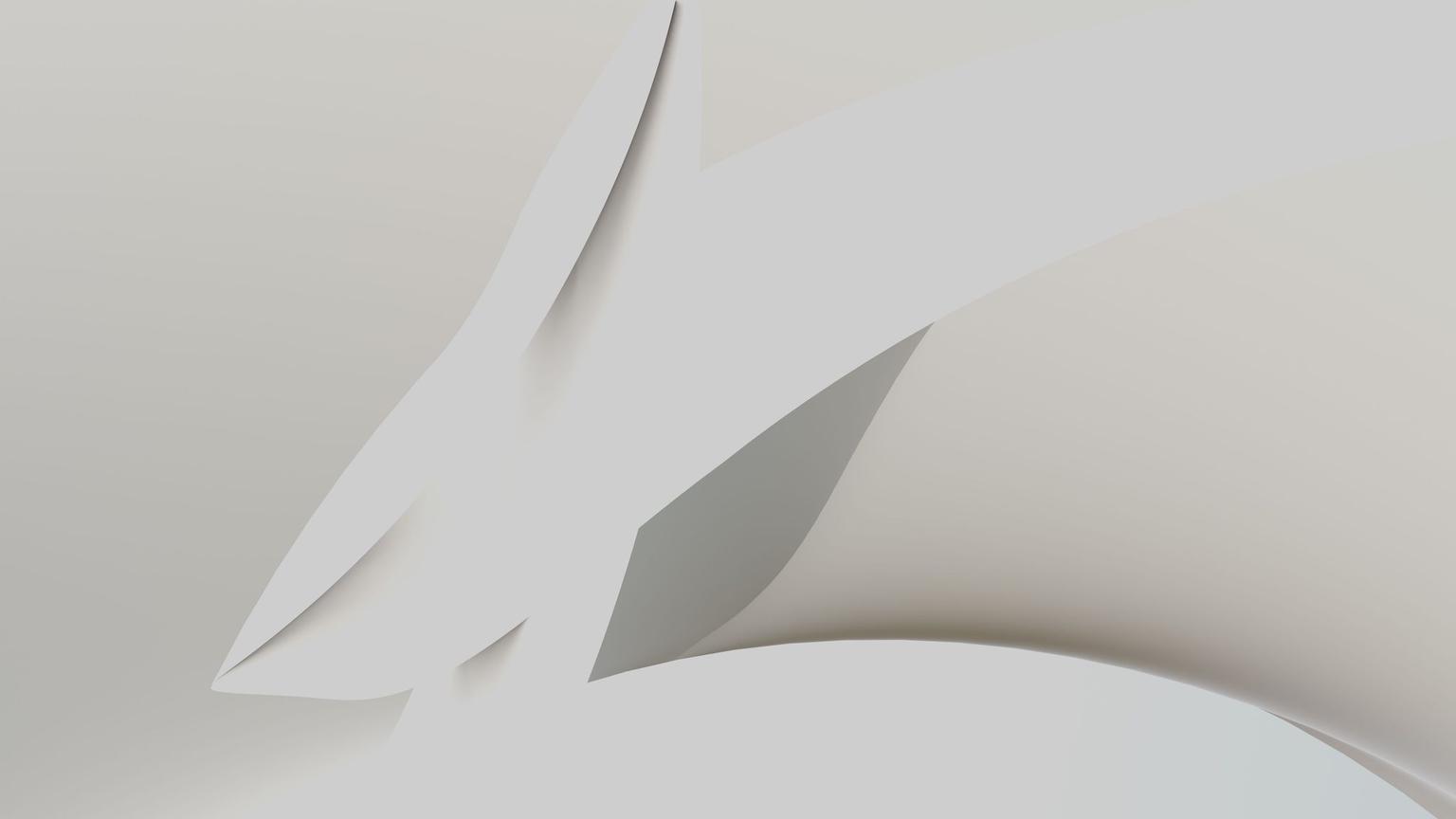 Abstract white and gray image, natural earth tones and shapes