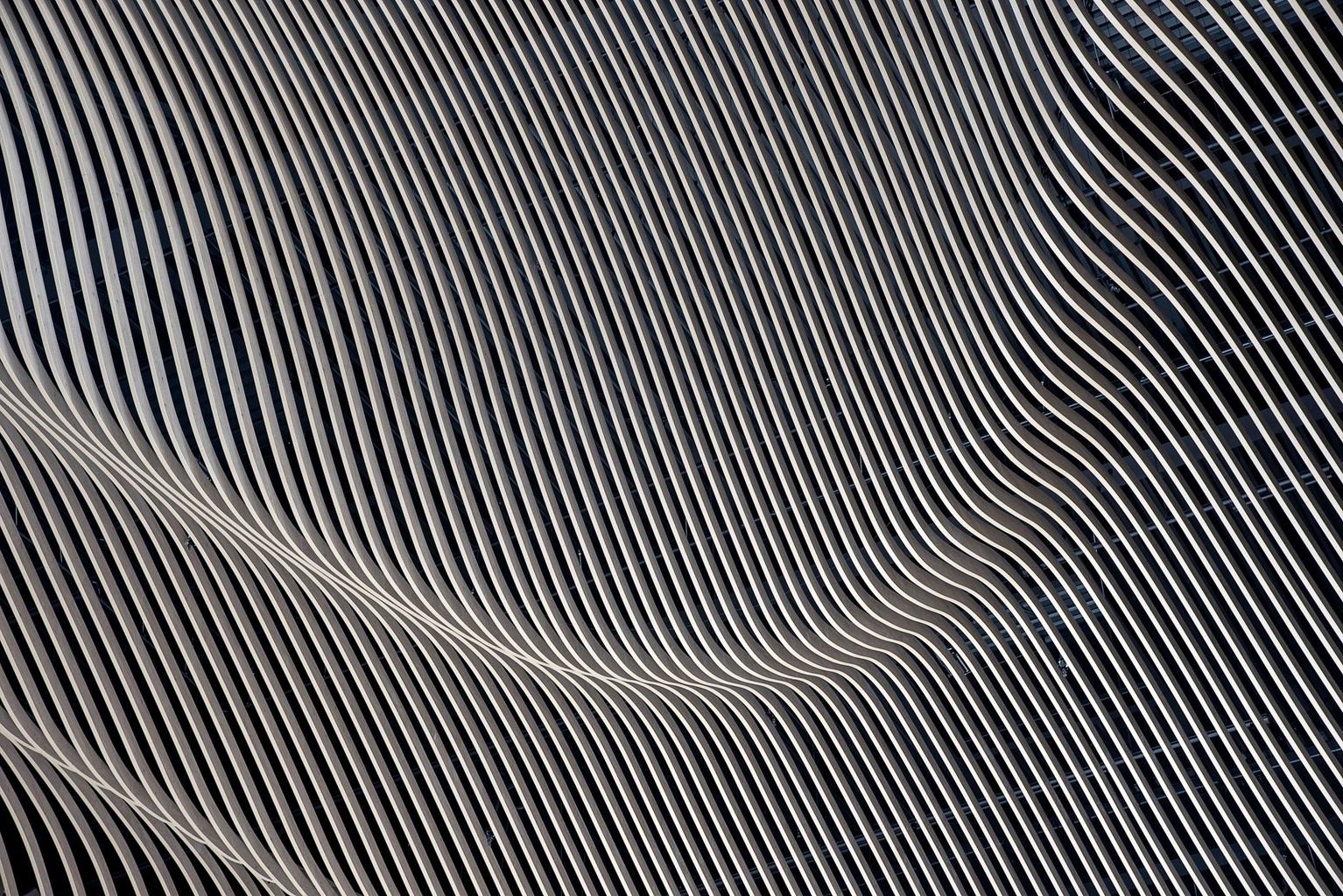 Abstract white and gray image, natural earth tones and shapes
