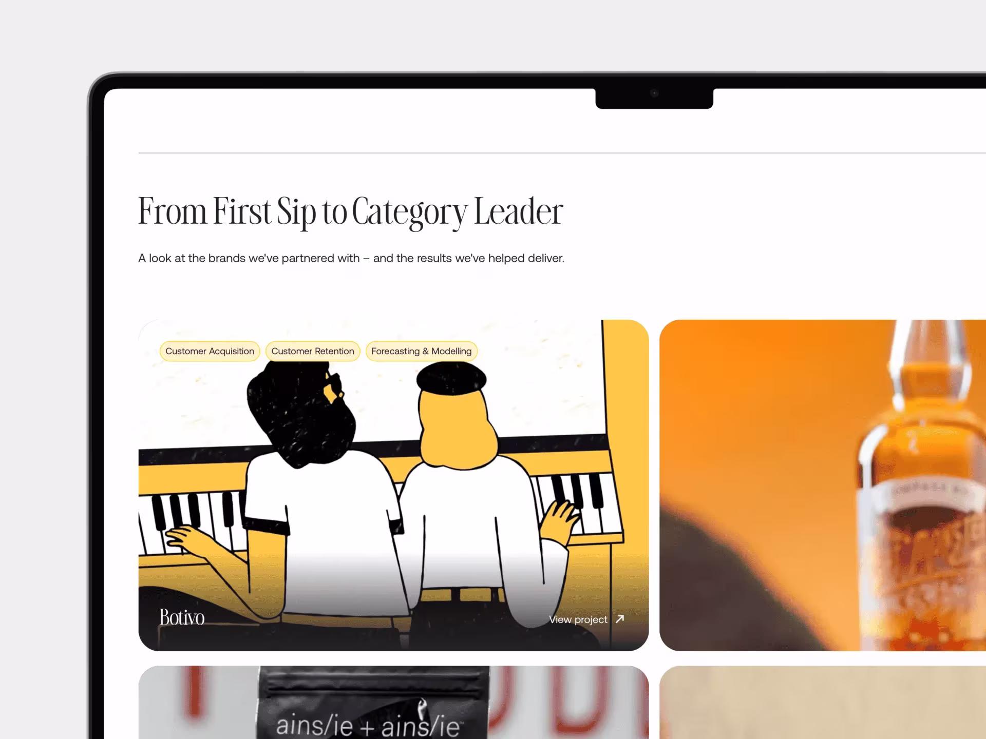 Hound Marketing portfolio page titled From First Sip to Category Leader showing client project grid including Botivo brand illustration of two people at a piano, whisky bottle product photography, and ains/ie supplement packaging