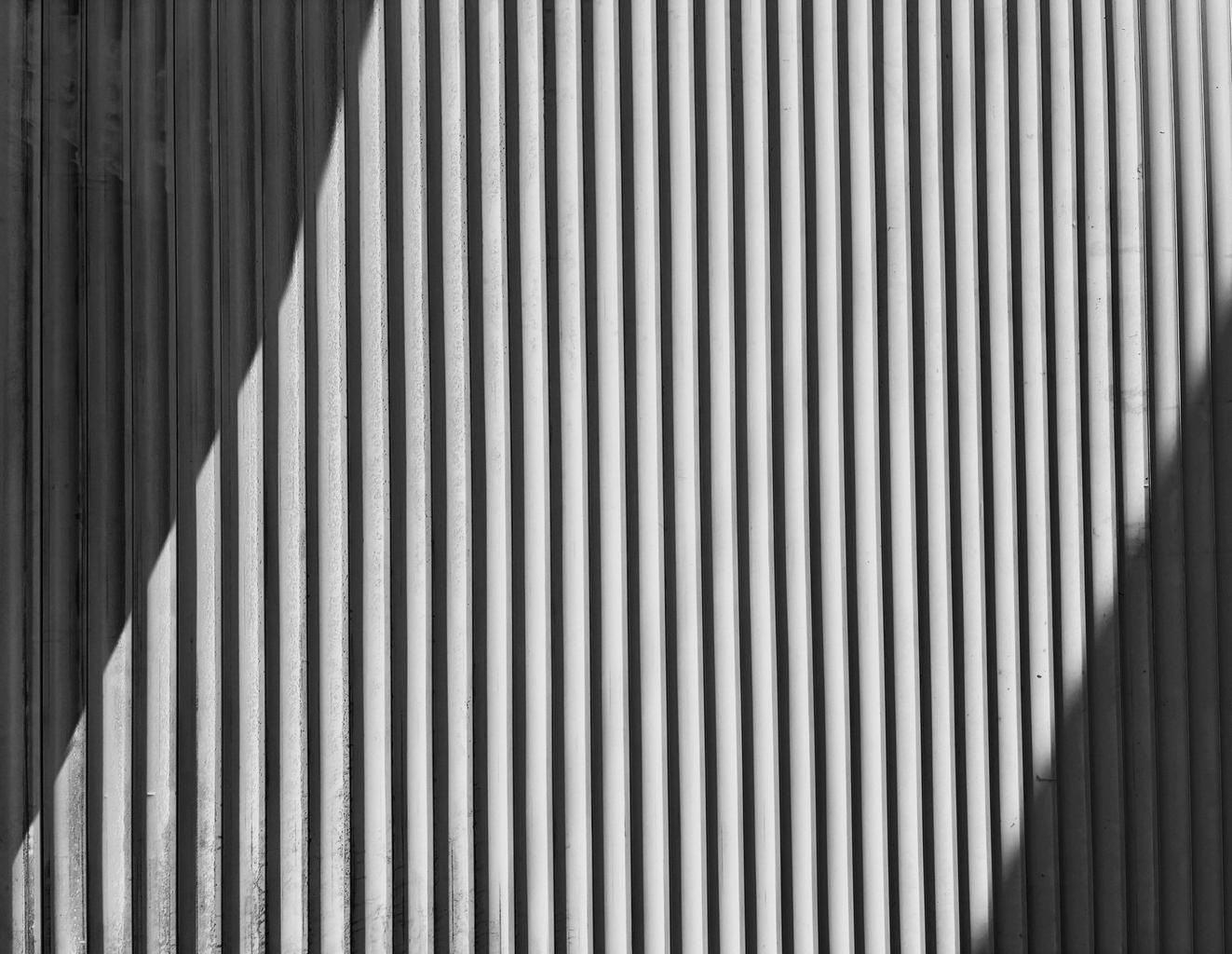 Abstract white and gray image, natural earth tones and shapes