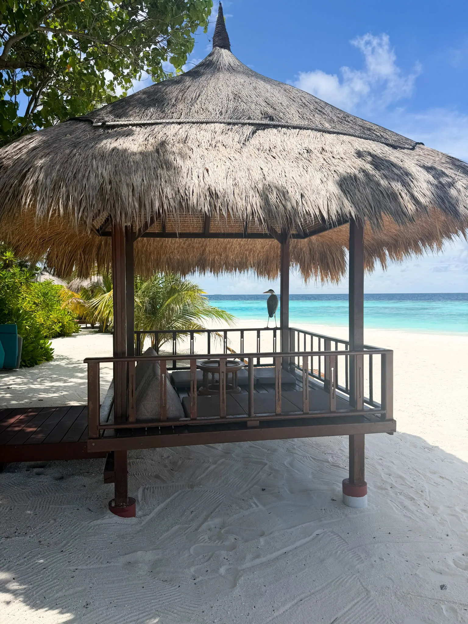Cabana med halmtak och dagbädd på stranden, med havet bakom