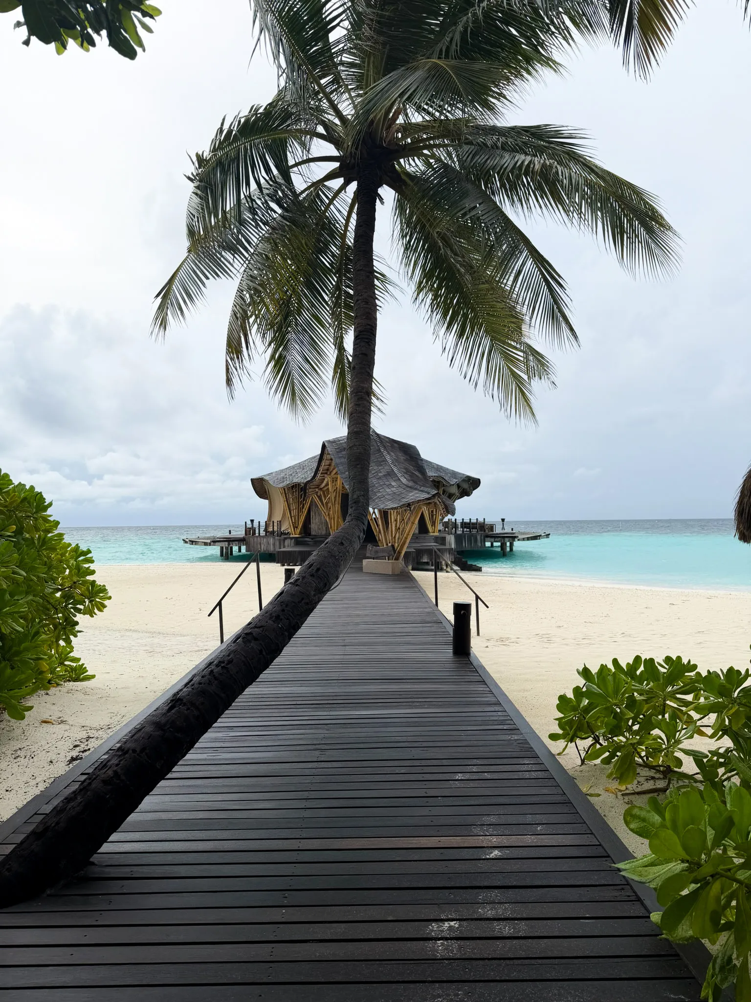 Träbrygga förbi en lutande palm ut mot en paviljong vid havet
