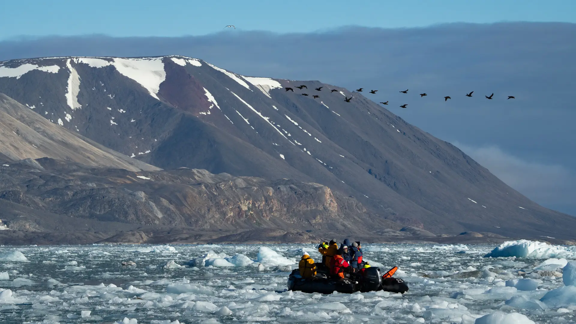 Bild från expedition på Svalbard, med fåglar i himlen och människor i en båt.