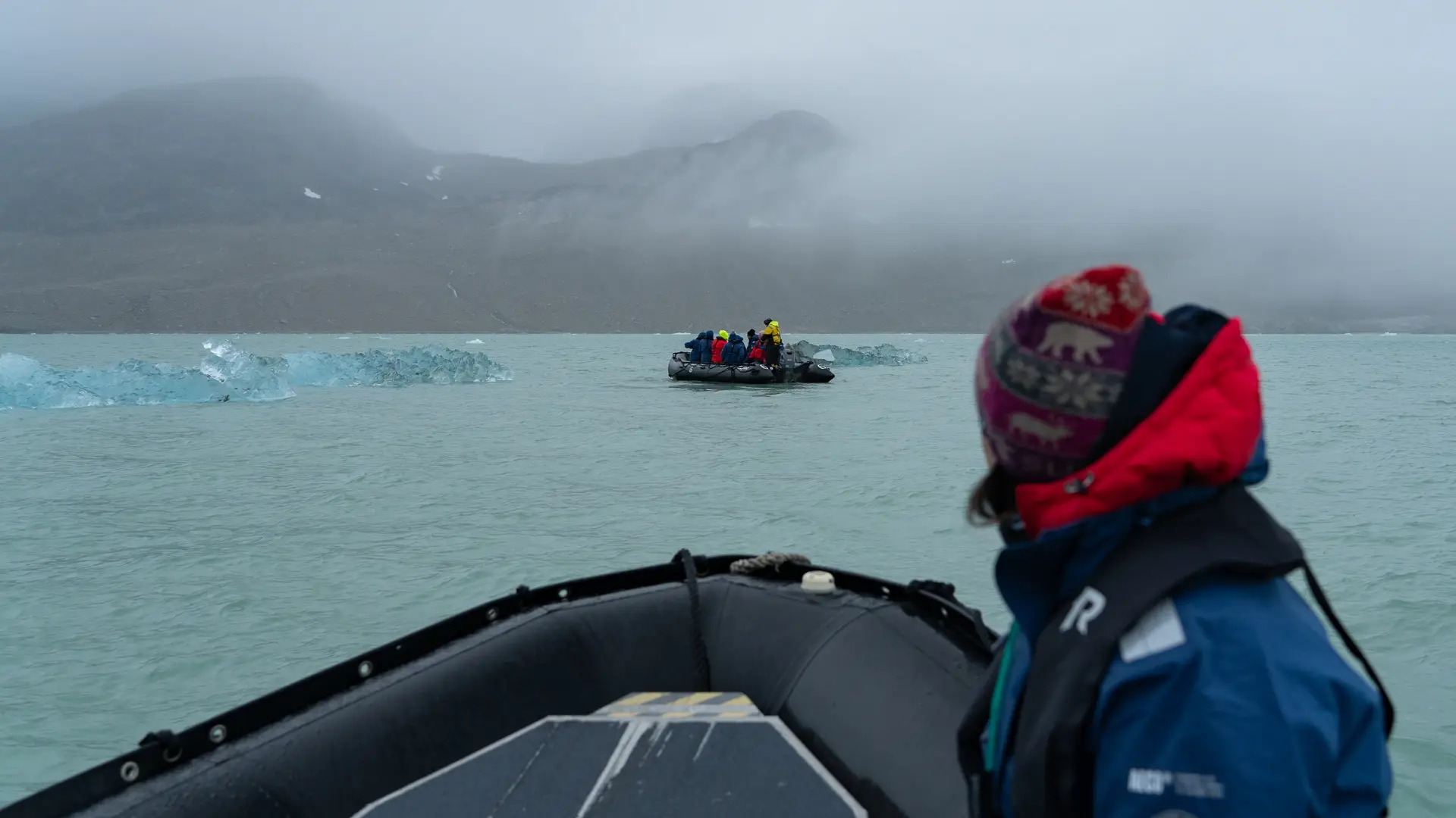 Miljöbild från Svalbard med natur och djurliv.