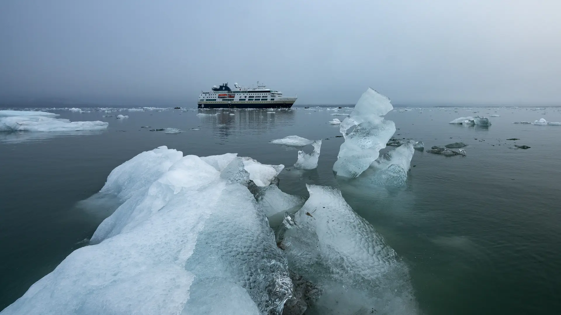 Miljöbild från Svalbard med natur och djurliv.