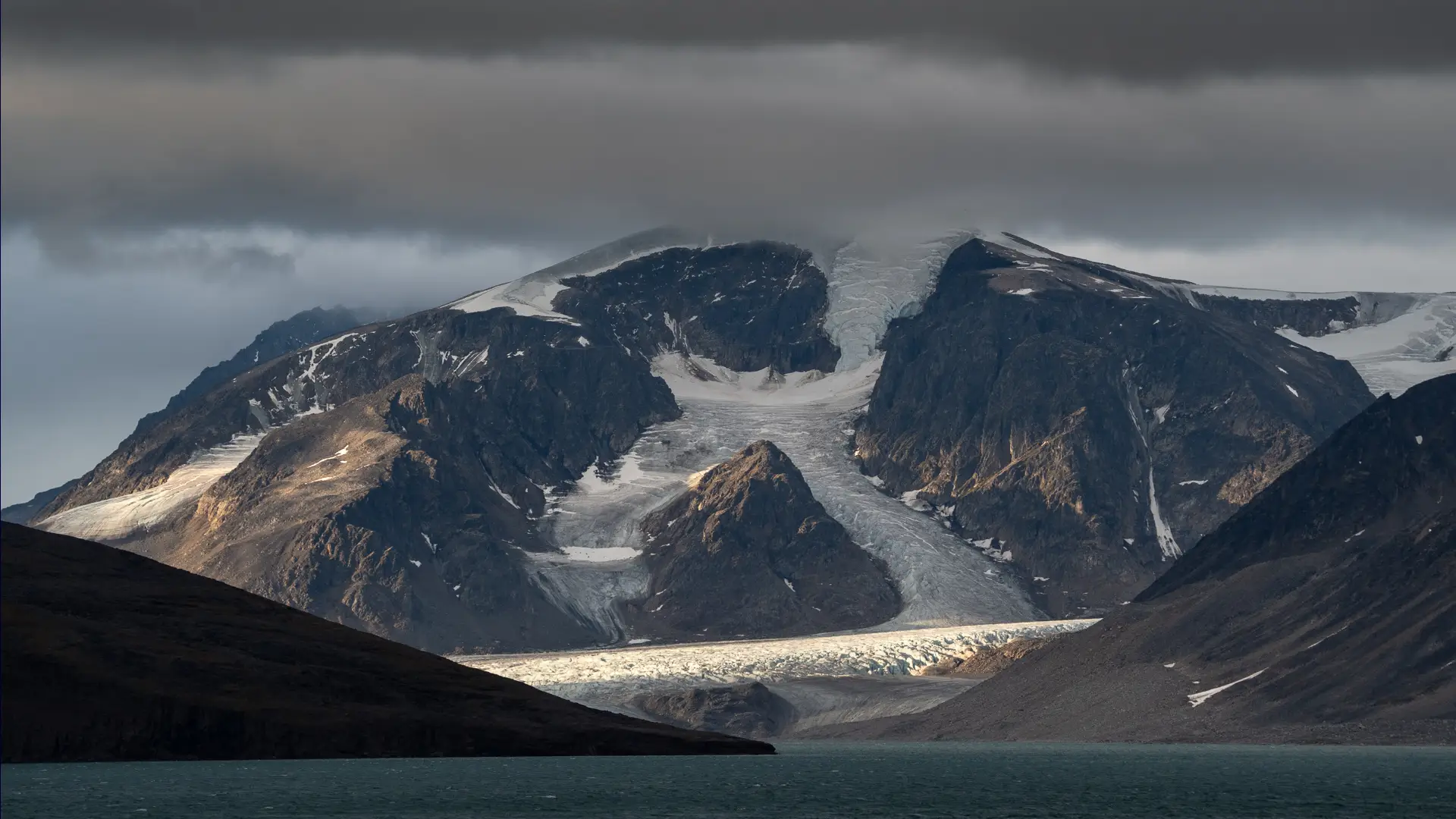 Miljöbild från Svalbard med natur och djurliv.