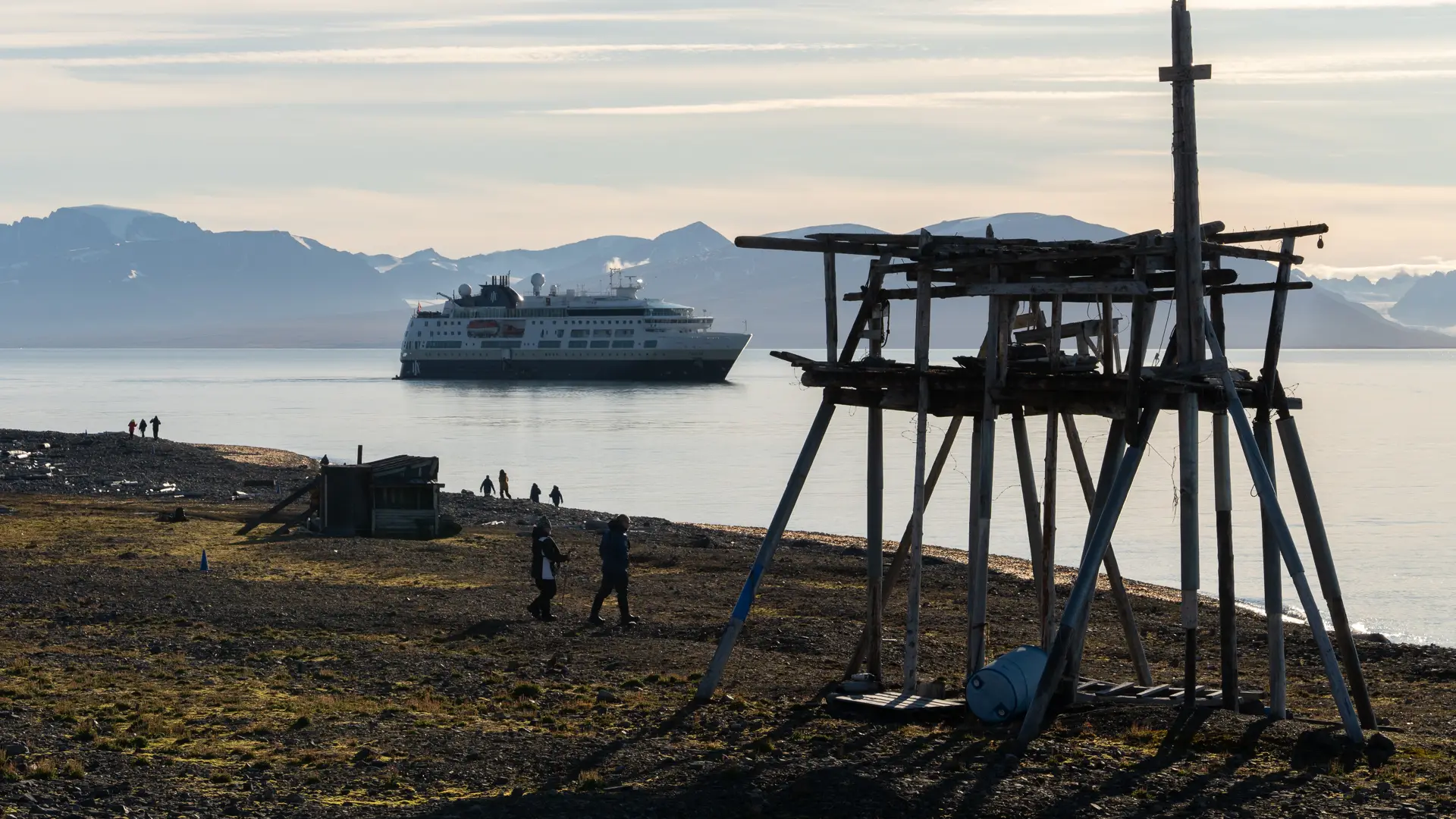 Miljöbild från Svalbard med natur och djurliv.