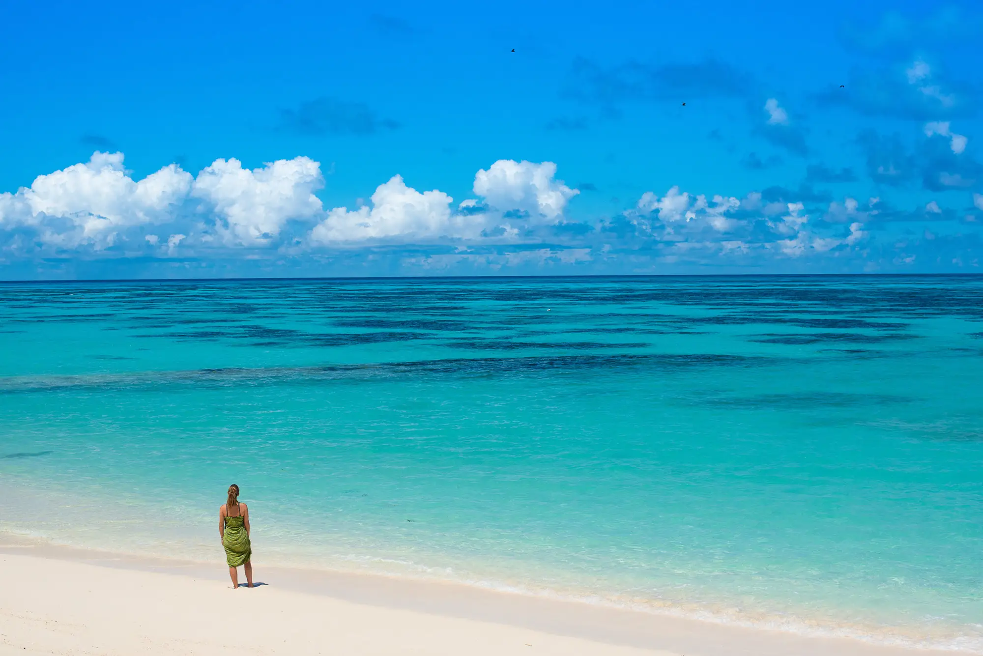 EN person vandrandes på en strand i Seychellerna.