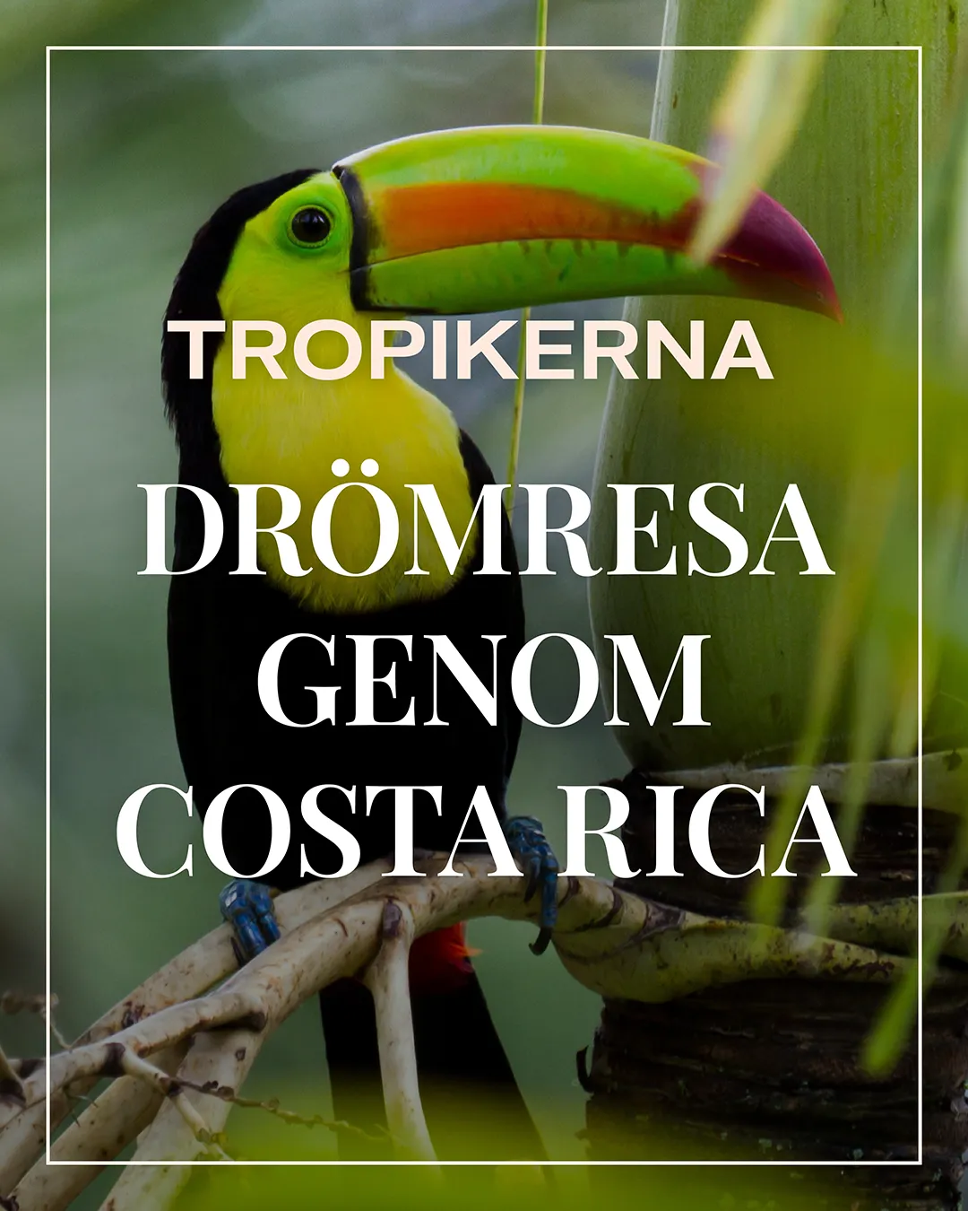 En drömresa genom Costa Rica