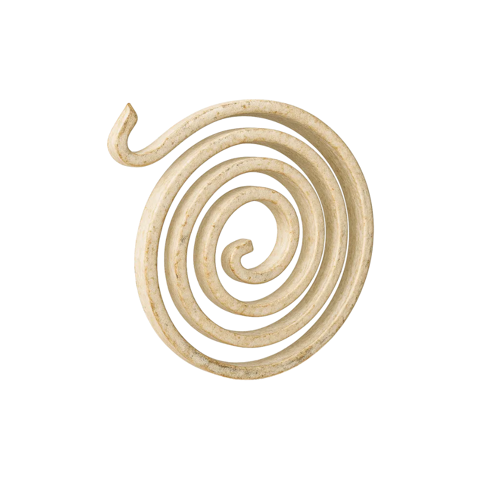 Close-up of a beige spiral-shaped incense coil.