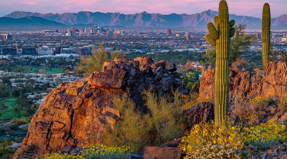 Phoenix