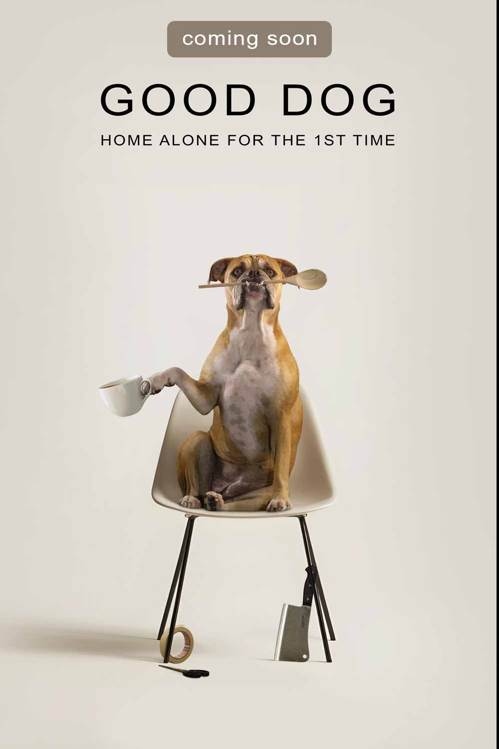 Good Dog Home Alone - Short Film