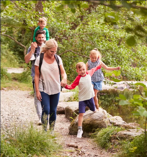 A family of 5 walks through the woods on a sunny summer day