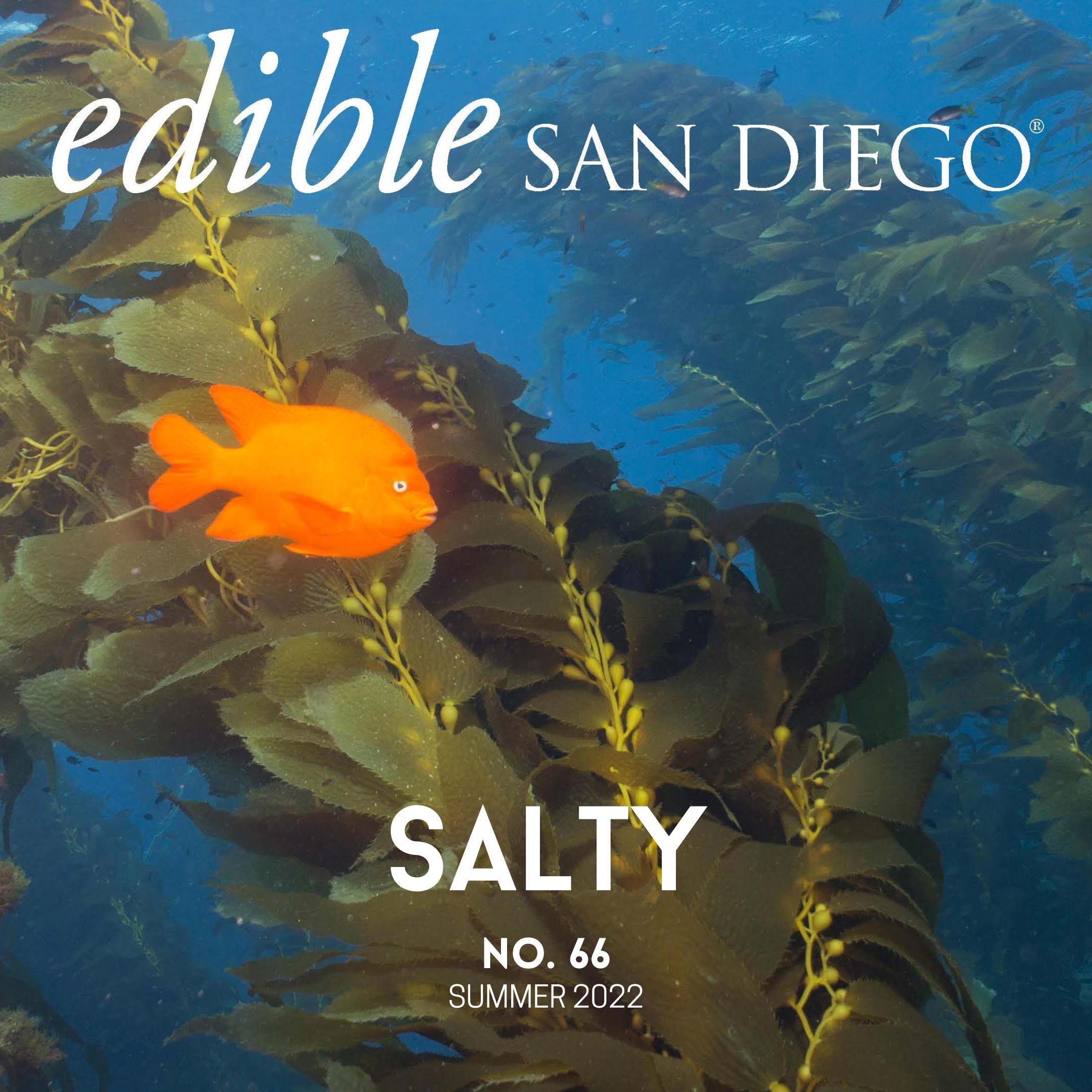 Edible San Diego Issue 66 Summer 2022
