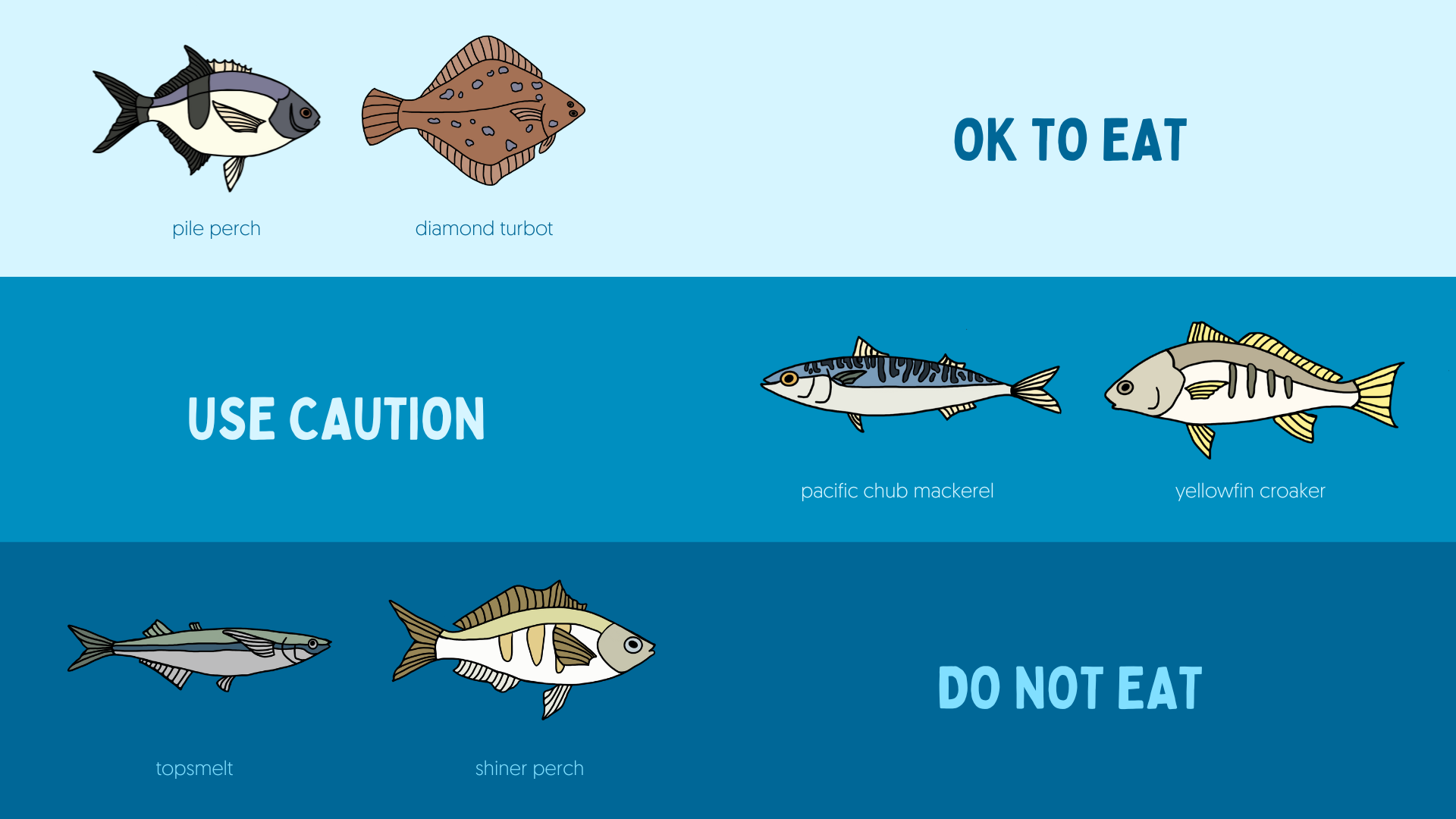 illustrated fish