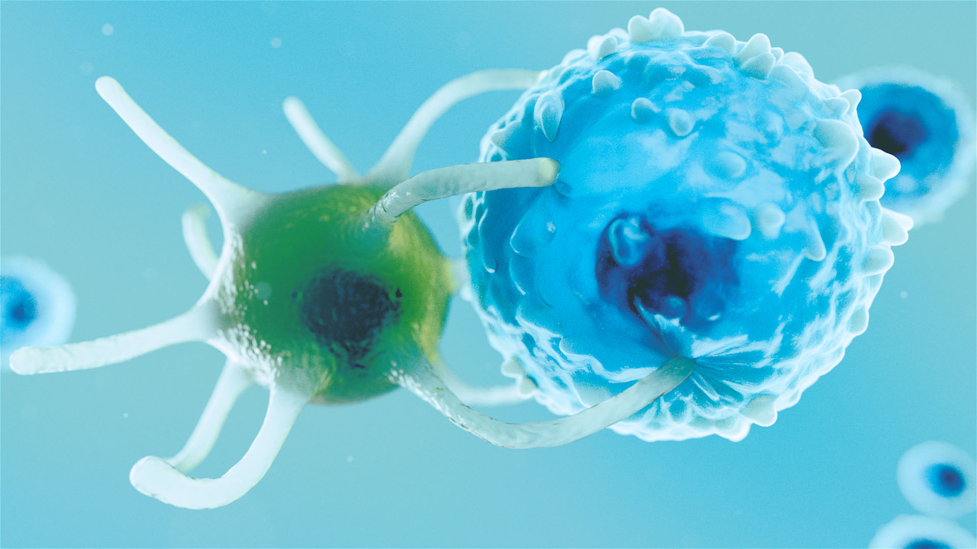 An accurate medical visualisation image.