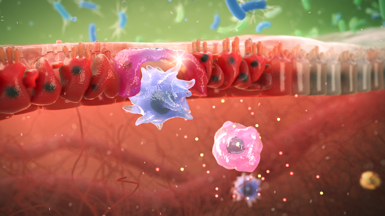 An accurate medical visualisation image.