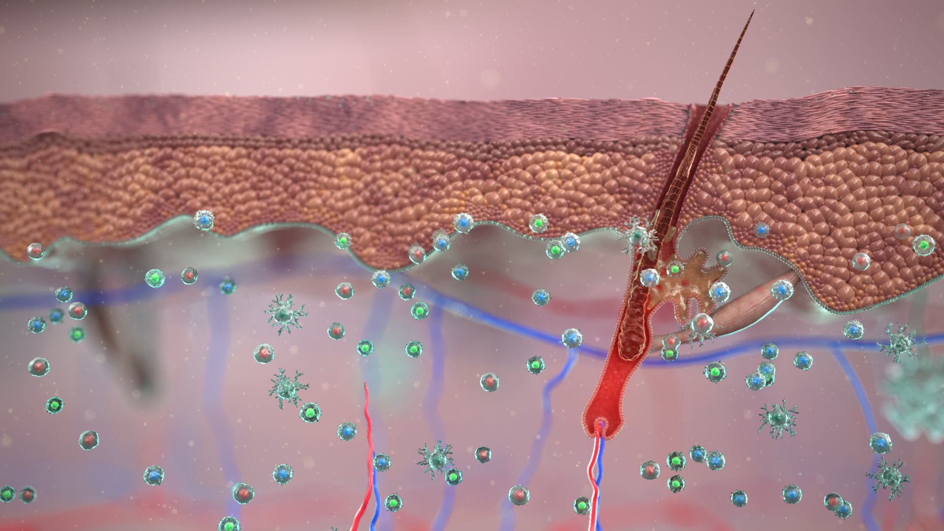 An accurate medical visualisation image.