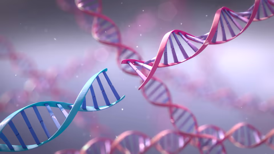 MAPK Pathway In Cancer