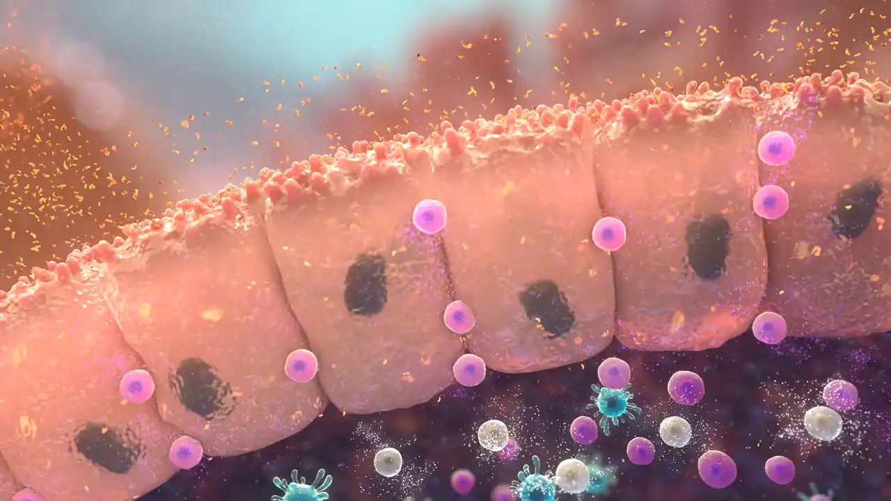 How Do We Ensure Our Medical Animations Are Scientifically Accurate?