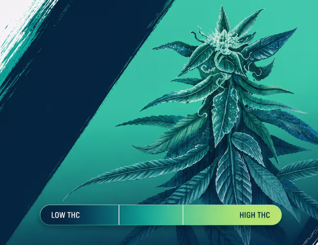 Discover how THC edibles differ from smoking, learn edible dosage ranges, and explore gummies from Camino, Blazy, and Smackers at Perfect Union