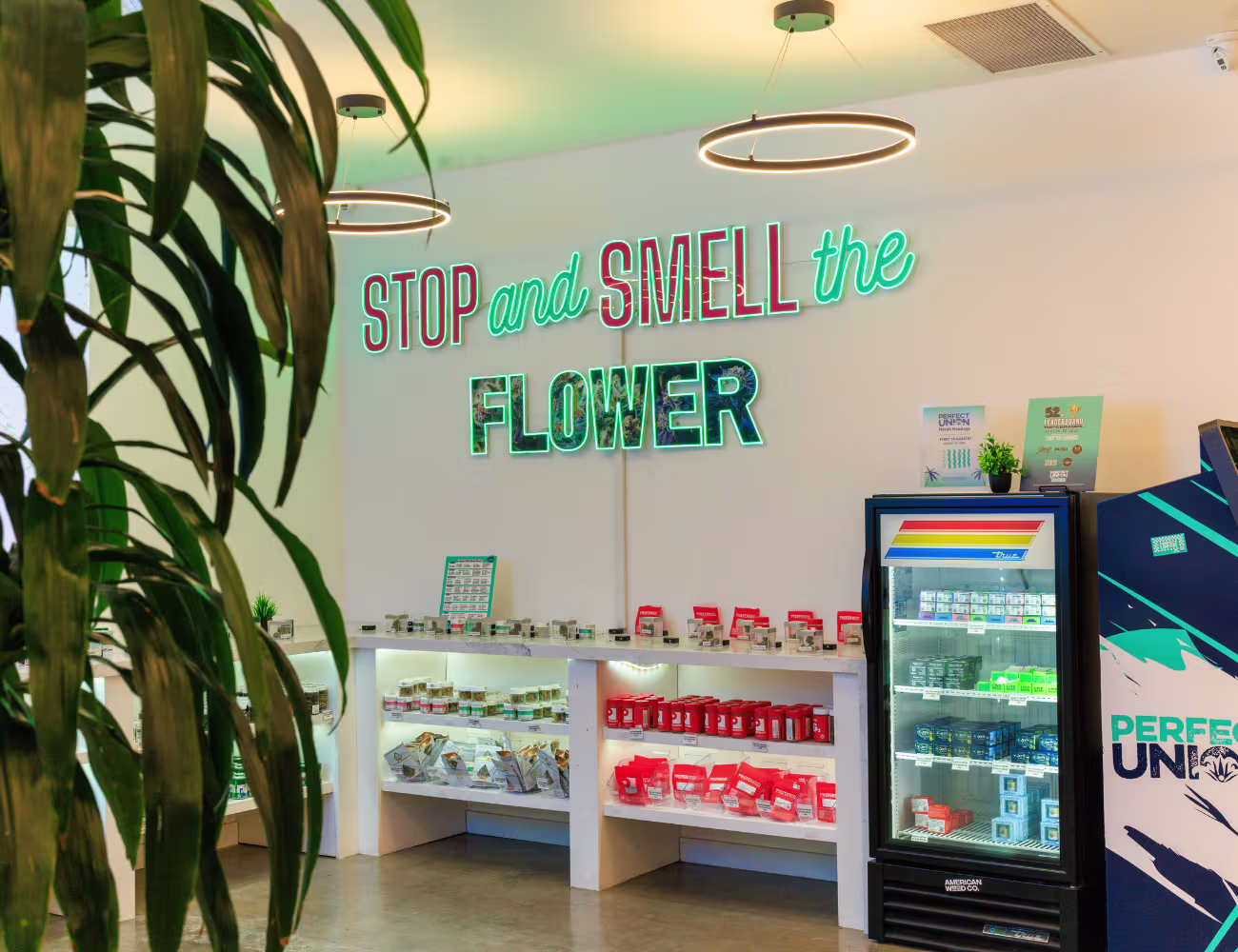 Explore cannabis flower at Perfect Union this October and compare genetics, growers, terpenes, aroma, freshness, flavor profiles, and package sizes.