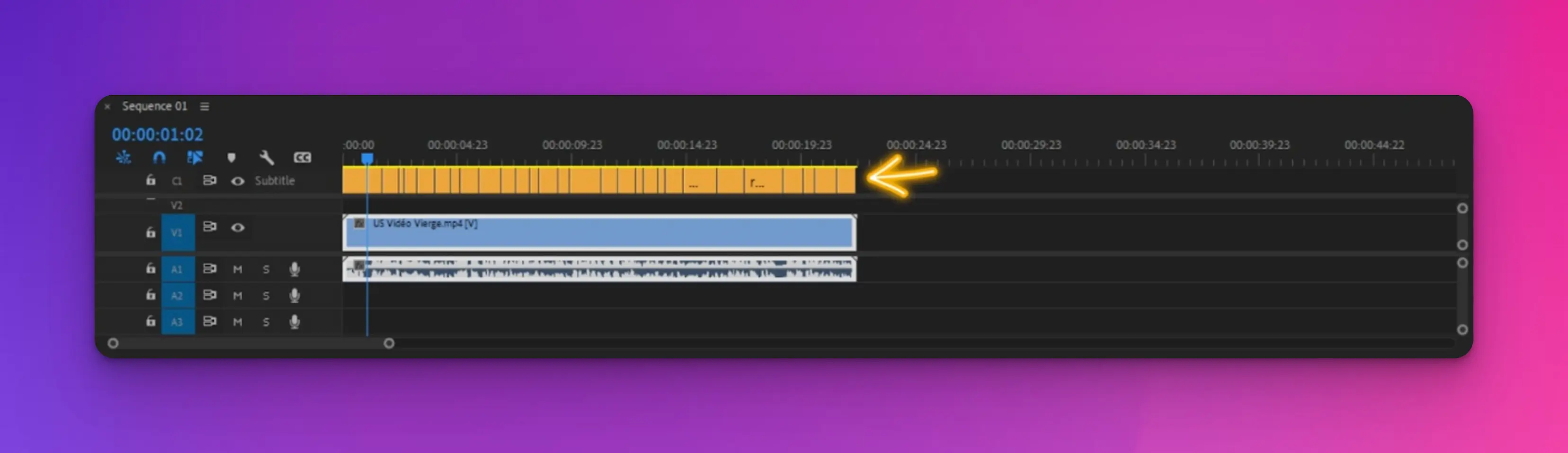 Timeline premiere pro