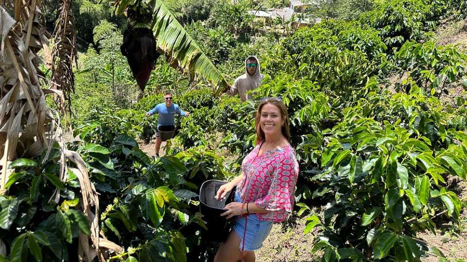 Private coffee tour at a local family farm from Guatape