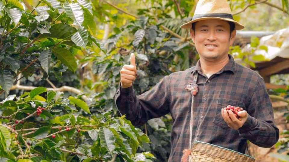Private coffee tour at a local family farm from Guatape